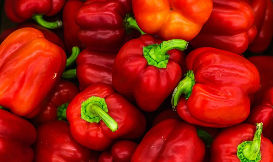 Utforska de många smaknyanserna av paprika på grillen